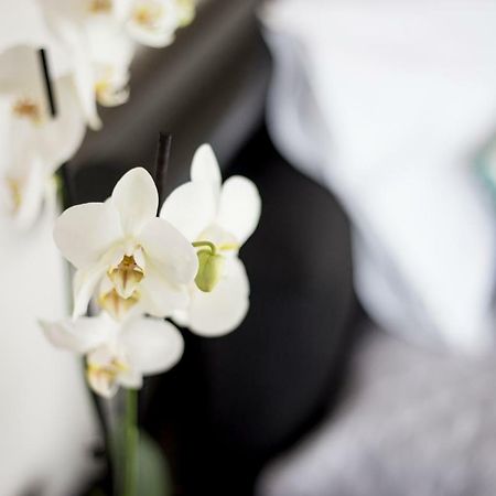 Apartament "Sea View"Loft Vila do Conde Zewnętrze zdjęcie